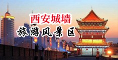我的骚屄视频中国陕西-西安城墙旅游风景区