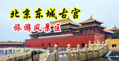 日韩美女性爱爽歪歪中国北京-东城古宫旅游风景区